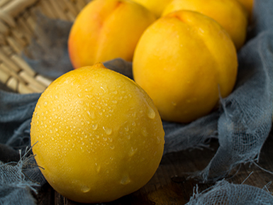 爱游戏网页版基地展示五