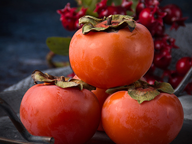 爱游戏网页版基地展示一