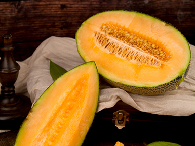 爱游戏网页版基地展示一